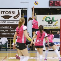 costavolpinoisuzucerea